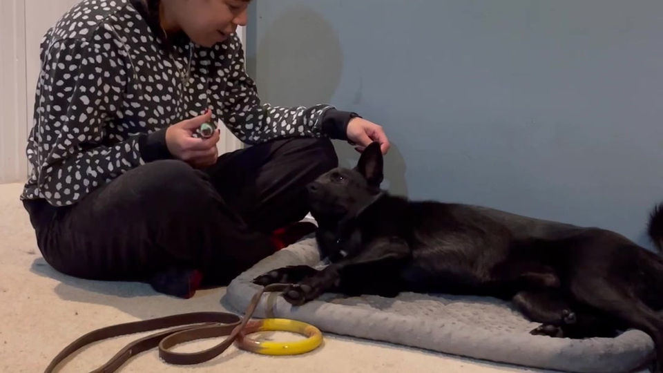 Thor nail trim journey